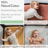 image:imageJoey  Joan Travel Crib Sheets for Baby Bjorn Guava Lotus Travel Crib 2pkDusty Blue  Navy